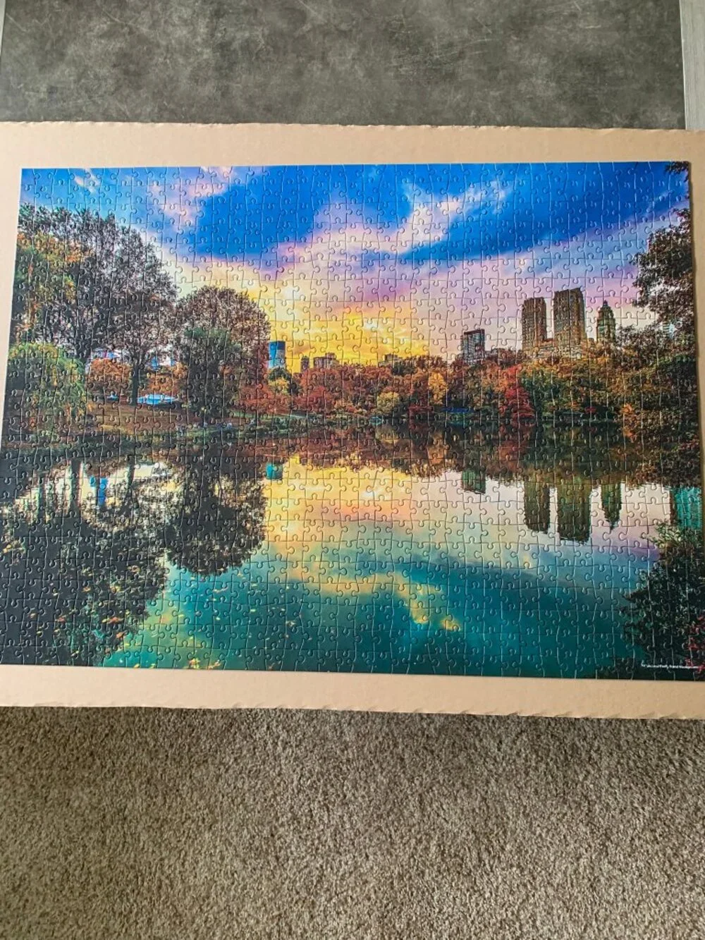 1000 Piece Puzzle Of Sunset In Central Park - Picture 1 of 5